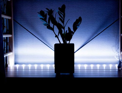 観葉植物のお手入れ方法 - 観葉植物の水やり